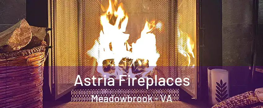  Astria Fireplaces Meadowbrook - VA