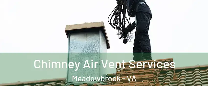 Chimney Air Vent Services Meadowbrook - VA