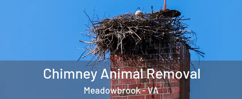  Chimney Animal Removal Meadowbrook - VA