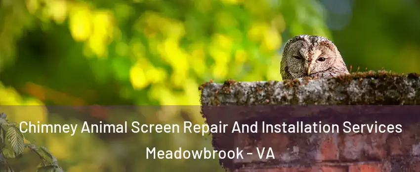  Chimney Animal Screen Repair And Installation Services Meadowbrook - VA