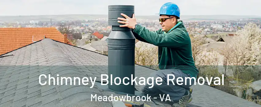 Chimney Blockage Removal Meadowbrook - VA