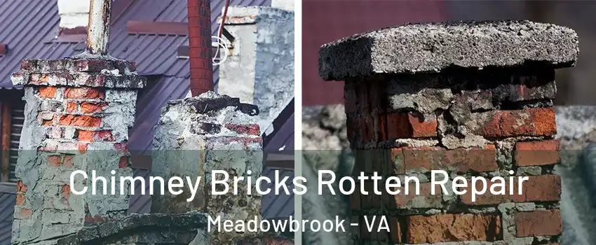  Chimney Bricks Rotten Repair Meadowbrook - VA