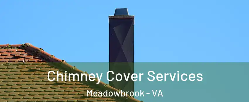  Chimney Cover Services Meadowbrook - VA