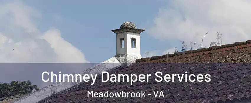  Chimney Damper Services Meadowbrook - VA