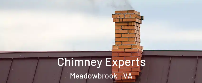  Chimney Experts Meadowbrook - VA