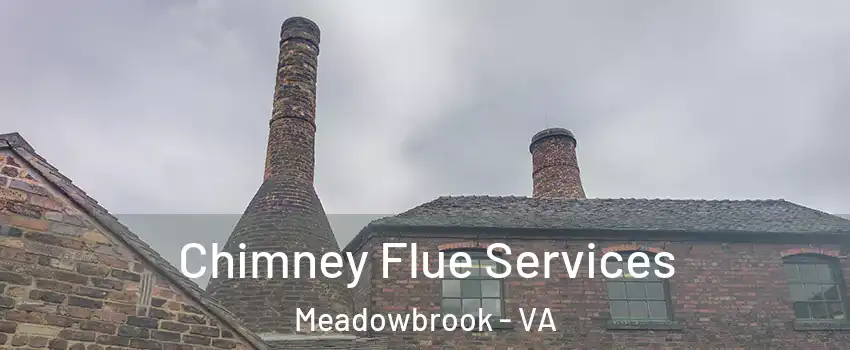  Chimney Flue Services Meadowbrook - VA