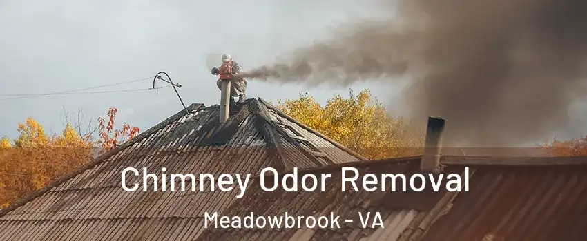  Chimney Odor Removal Meadowbrook - VA