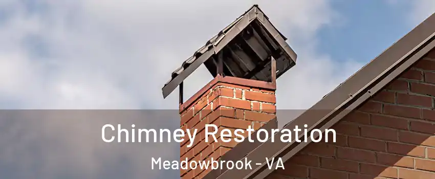  Chimney Restoration Meadowbrook - VA