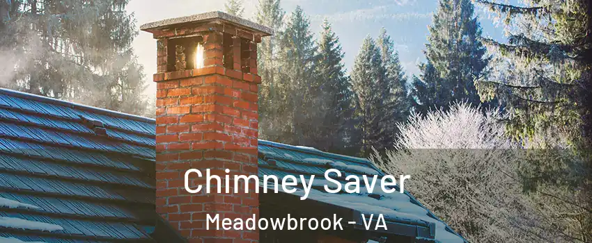  Chimney Saver Meadowbrook - VA