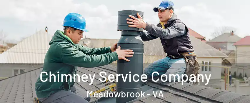  Chimney Service Company Meadowbrook - VA