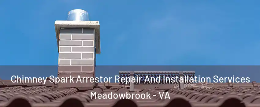  Chimney Spark Arrestor Repair And Installation Services Meadowbrook - VA