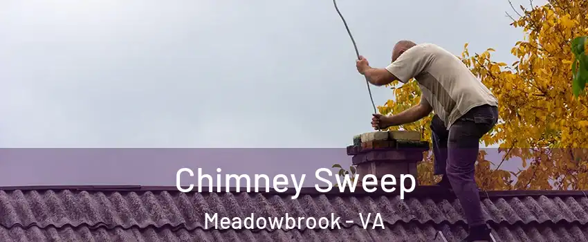  Chimney Sweep Meadowbrook - VA