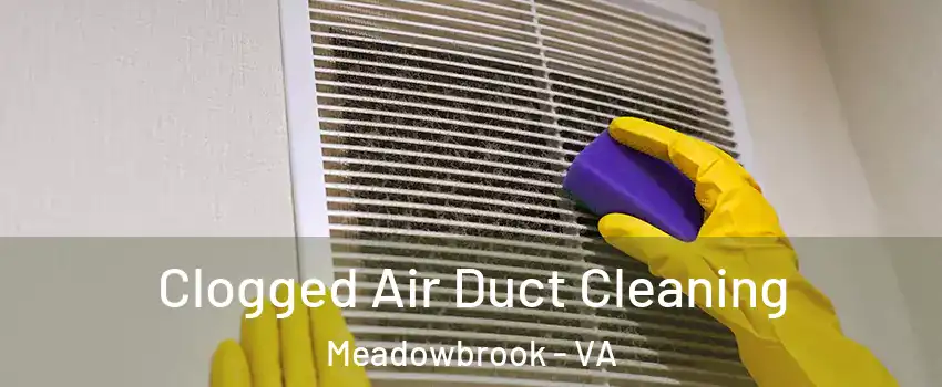  Clogged Air Duct Cleaning Meadowbrook - VA