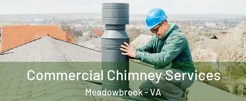  Commercial Chimney Services Meadowbrook - VA