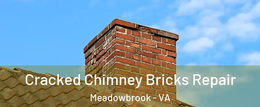  Cracked Chimney Bricks Repair Meadowbrook - VA