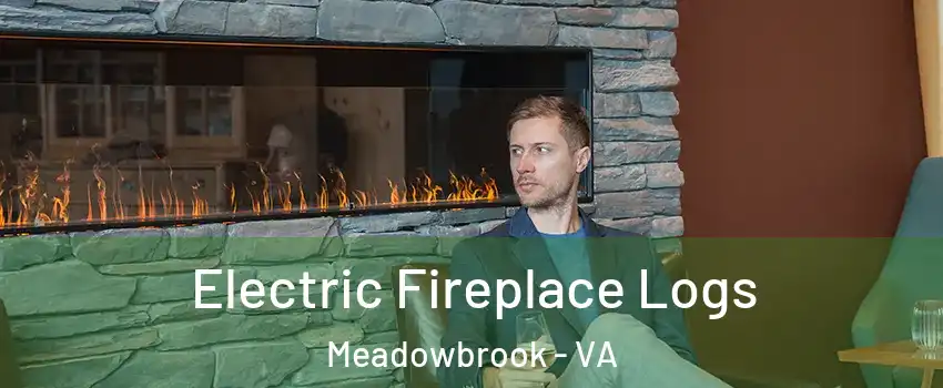  Electric Fireplace Logs Meadowbrook - VA