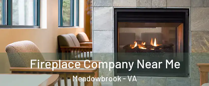  Fireplace Company Near Me Meadowbrook - VA
