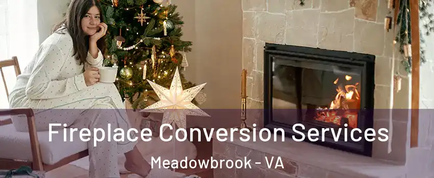  Fireplace Conversion Services Meadowbrook - VA