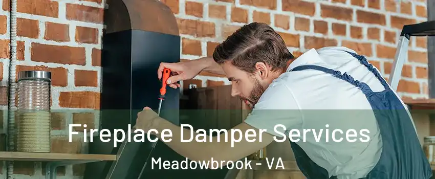  Fireplace Damper Services Meadowbrook - VA