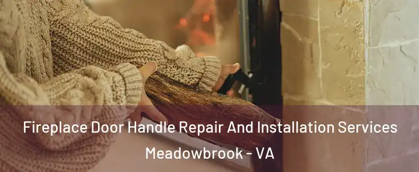  Fireplace Door Handle Repair And Installation Services Meadowbrook - VA