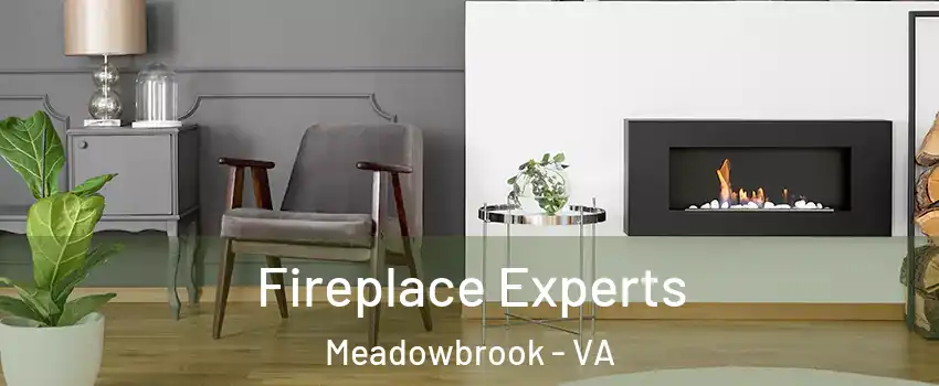  Fireplace Experts Meadowbrook - VA