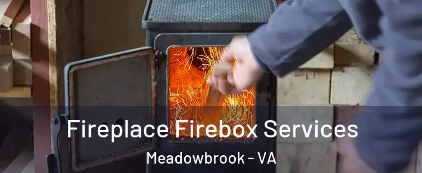  Fireplace Firebox Services Meadowbrook - VA