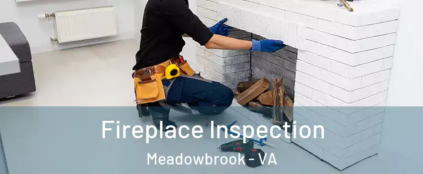  Fireplace Inspection Meadowbrook - VA