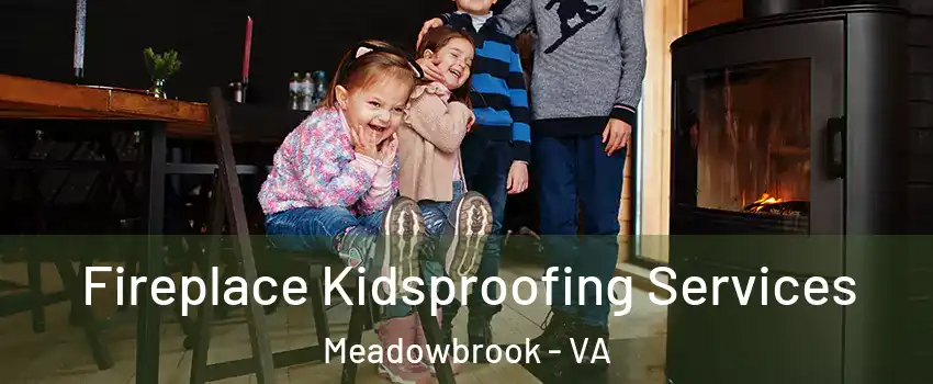  Fireplace Kidsproofing Services Meadowbrook - VA