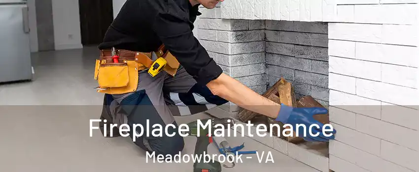  Fireplace Maintenance Meadowbrook - VA