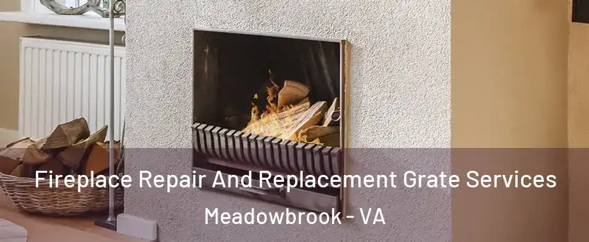  Fireplace Repair And Replacement Grate Services Meadowbrook - VA