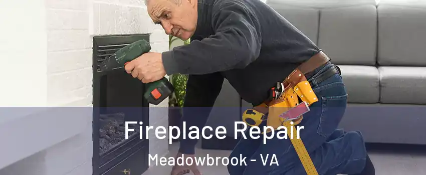  Fireplace Repair Meadowbrook - VA