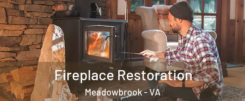  Fireplace Restoration Meadowbrook - VA