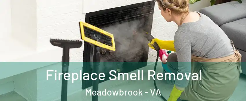  Fireplace Smell Removal Meadowbrook - VA