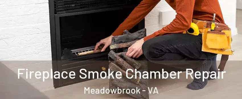  Fireplace Smoke Chamber Repair Meadowbrook - VA
