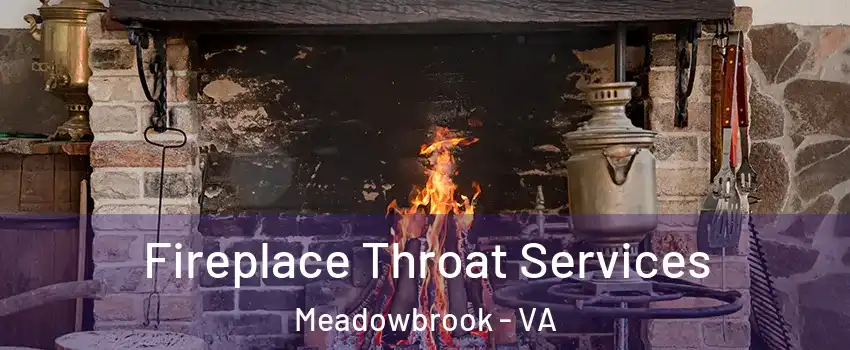  Fireplace Throat Services Meadowbrook - VA