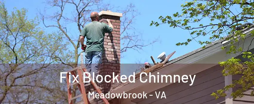  Fix Blocked Chimney Meadowbrook - VA