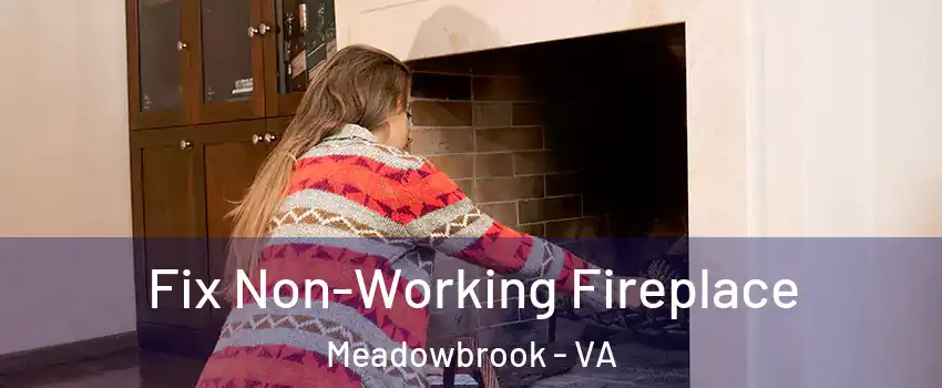  Fix Non-Working Fireplace Meadowbrook - VA