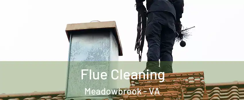  Flue Cleaning Meadowbrook - VA
