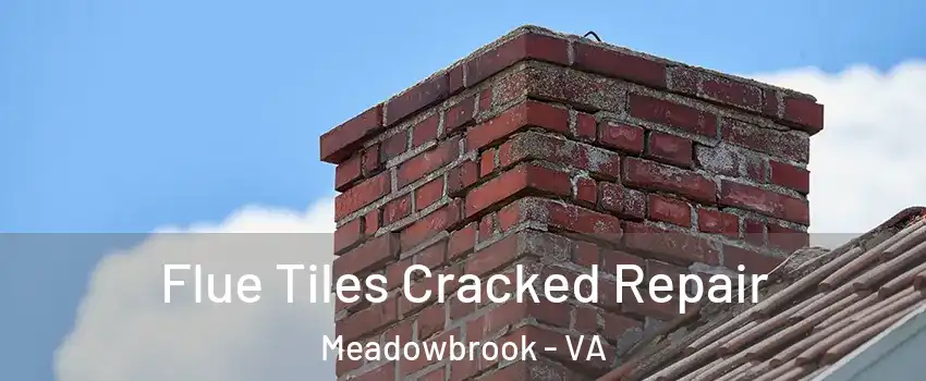  Flue Tiles Cracked Repair Meadowbrook - VA