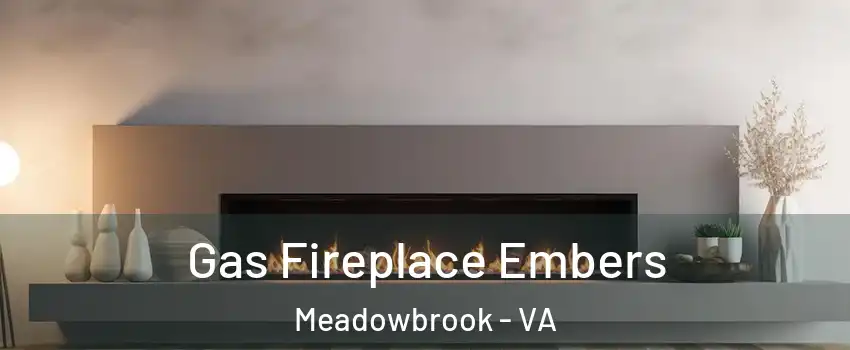  Gas Fireplace Embers Meadowbrook - VA
