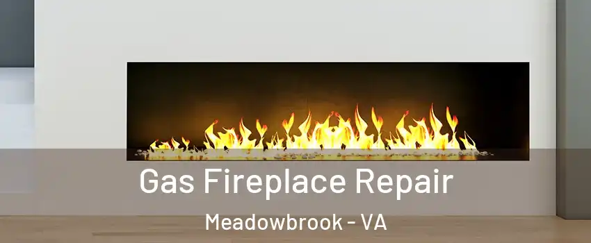  Gas Fireplace Repair Meadowbrook - VA