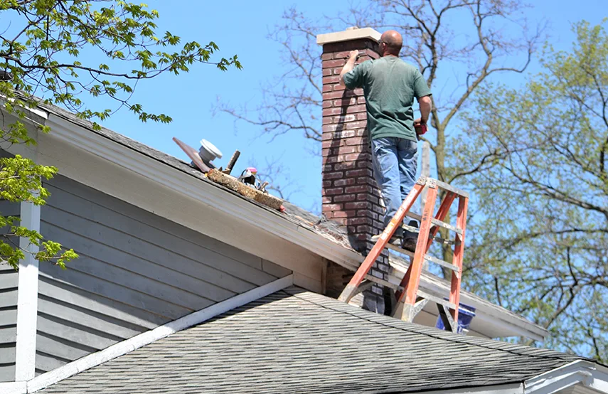 Chimney & Fireplace Inspections Services in Meadowbrook, VA