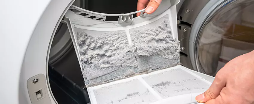 Best Dryer Lint Removal Company in Meadowbrook, Virginia