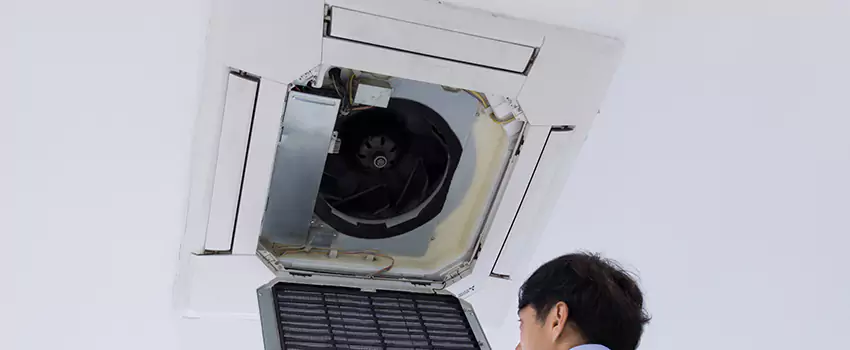 Benefits of Professional Air Duct Cleaning in Meadowbrook, Virginia
