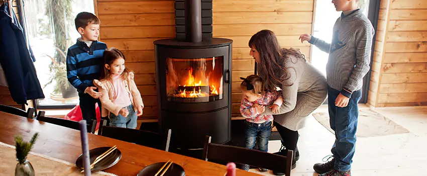Jøtul Gas Fireplace Inspection Service in Meadowbrook, Virginia