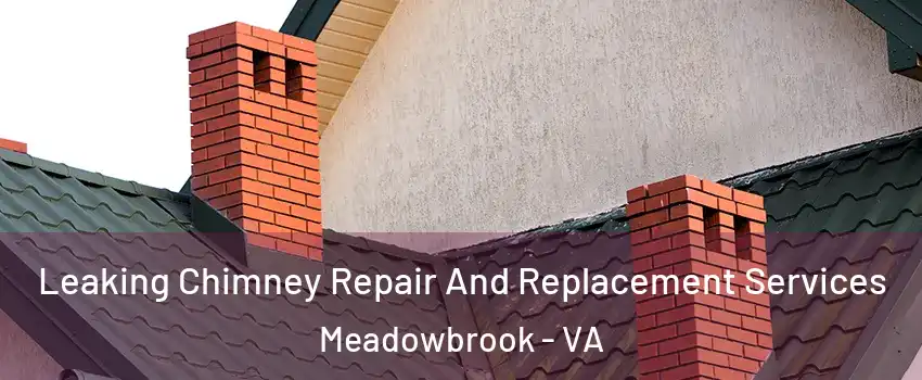  Leaking Chimney Repair And Replacement Services Meadowbrook - VA