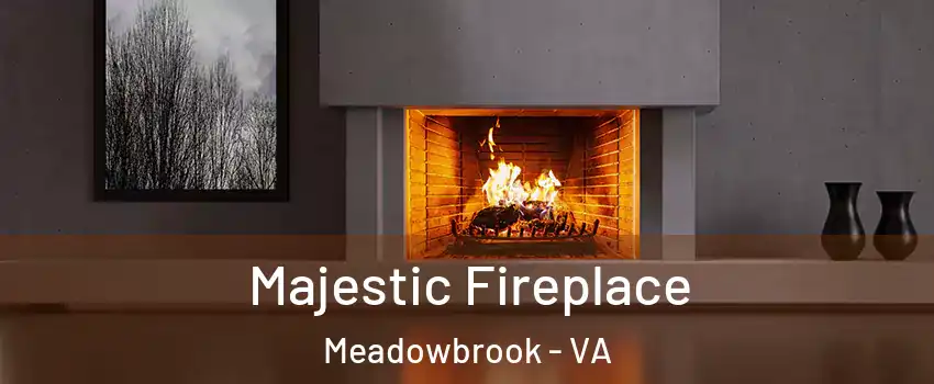  Majestic Fireplace Meadowbrook - VA