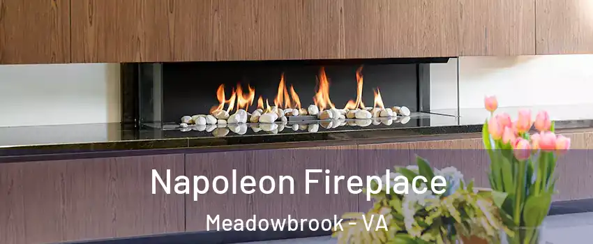  Napoleon Fireplace Meadowbrook - VA