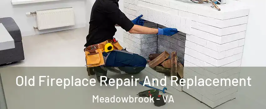  Old Fireplace Repair And Replacement Meadowbrook - VA