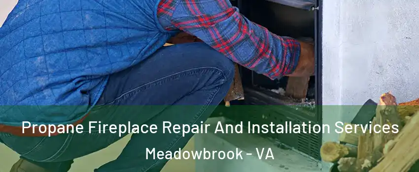  Propane Fireplace Repair And Installation Services Meadowbrook - VA